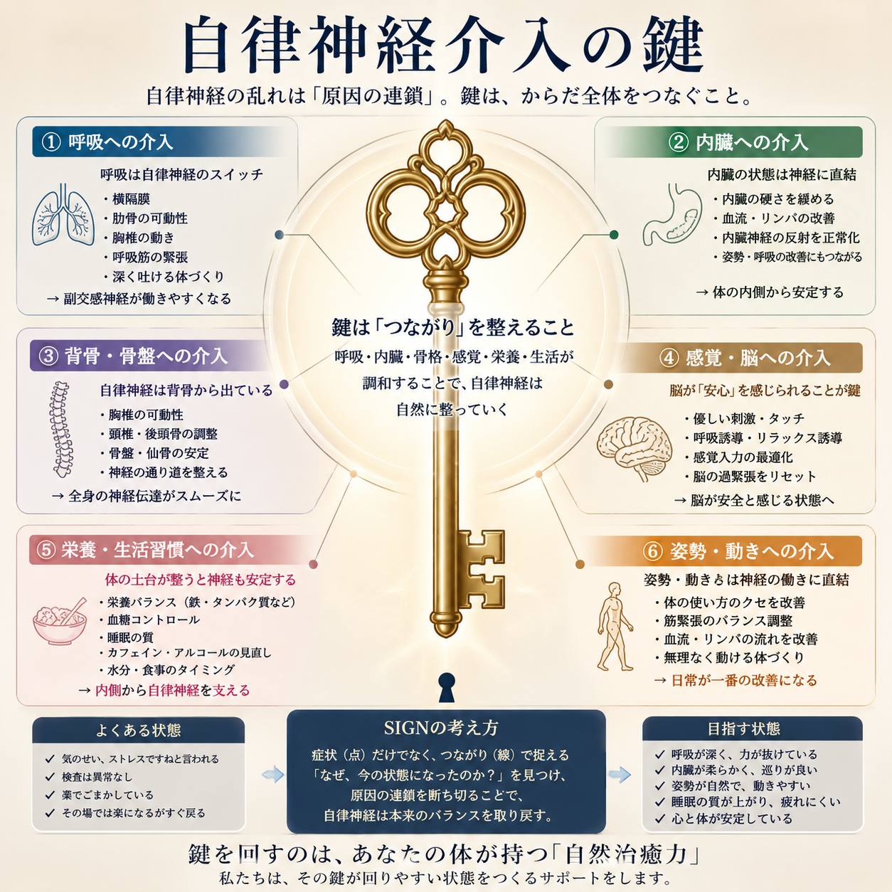 自律神経への整体