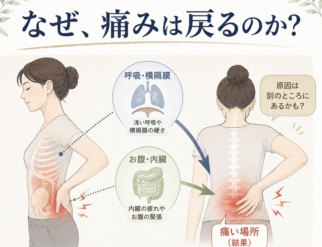 腰痛がなぜ戻ってしまうのか