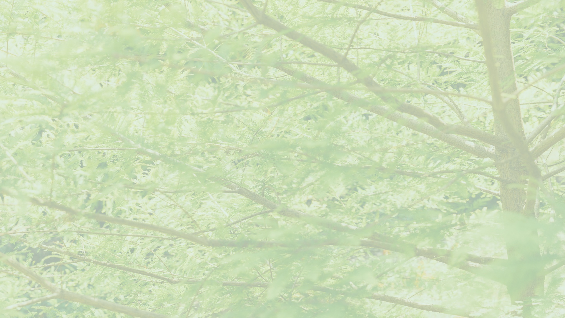 コンセプト